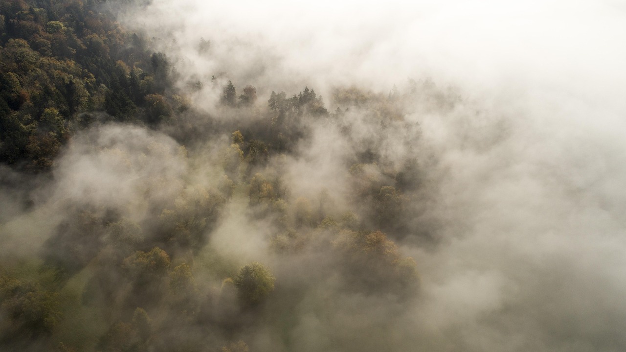Professional in drone technology leading sales team
